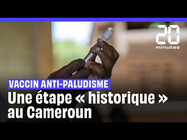 Paludisme : L'introduction du vaccin au Cameroun, un « tournant » dans la lutte contre cette ma