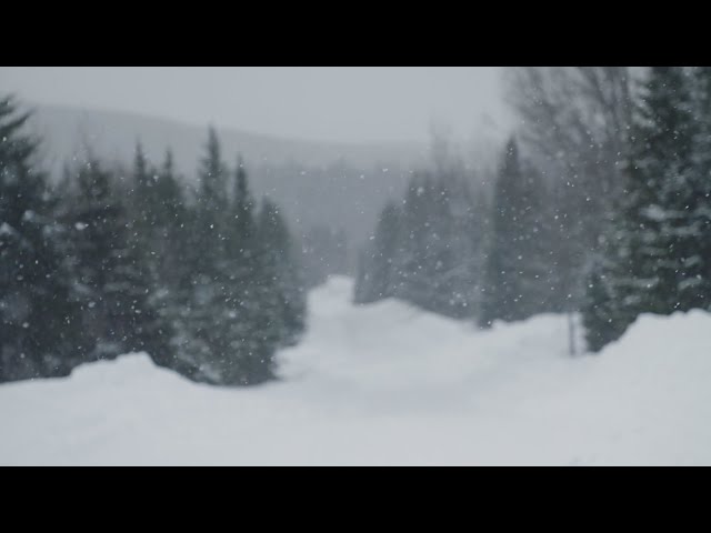 La semaine verte | La neige vivante