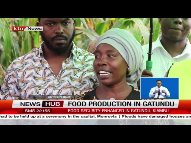 Harvesting Prosperity: Kiambu's Project Enhances Food Security and Horticulture Farming in Gatu