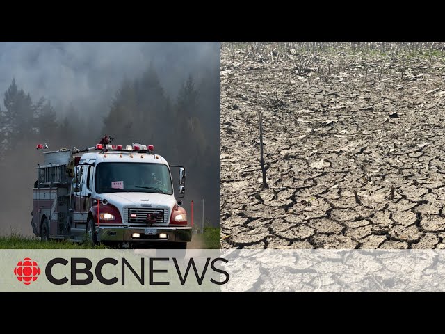 Farmland is drying up across Canada, report shows