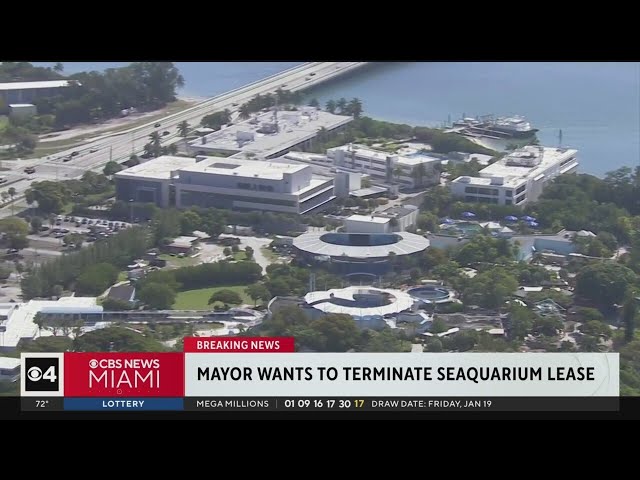 Miami-Dade County Mayor wants to terminate Seaquarium lease