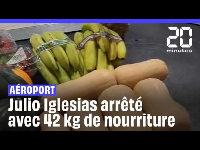 Julio Iglesias arrêté avec 42kg de nourriture à l'aéroport #shorts