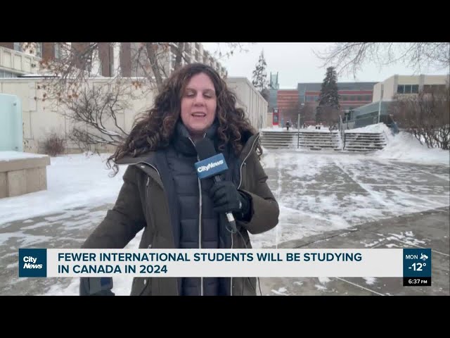 Cap on international students a cause for concern