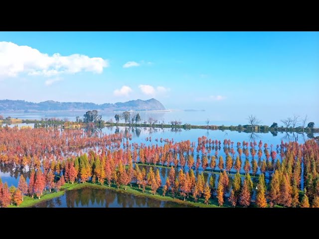 The endless winter beauty of Dianchi Lake in China's Yunnan