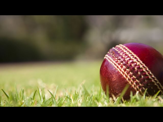 Cricket Australia ‘chokes’ at mention of Australia Day