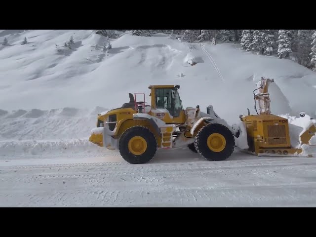 Winter Park businesses still struggling after avalanche