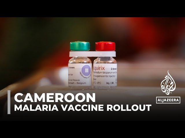 Malaria vaccination: Cameroon rolls out routine jabs for children