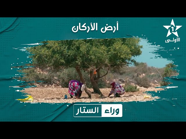 وراء الستار: أرض الأركان 22/01/2024