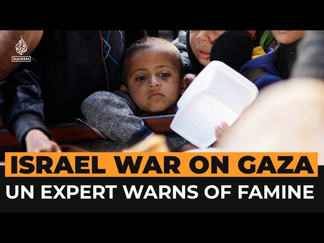 UN expert says Gaza might already be in famine | Al Jazeera Newsfeed