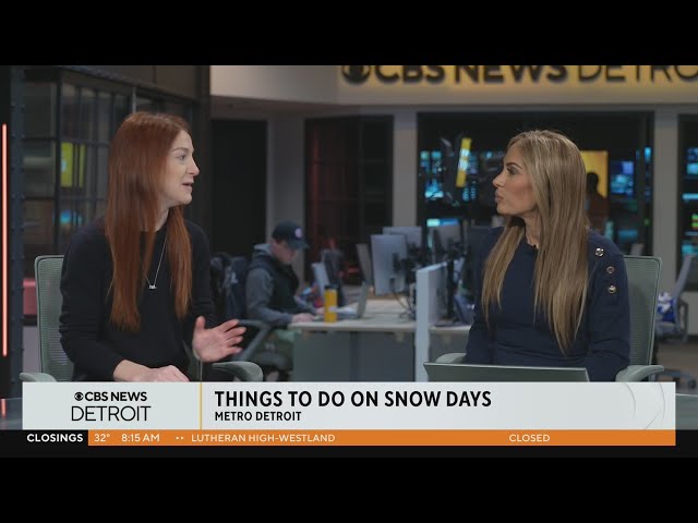 LittleGuide Detroit: Things to do on snow days in Metro Detroit