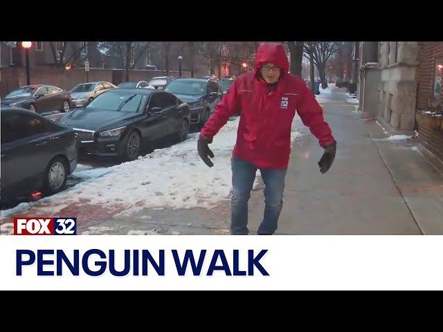 How to "walk like a penguin" on days like this