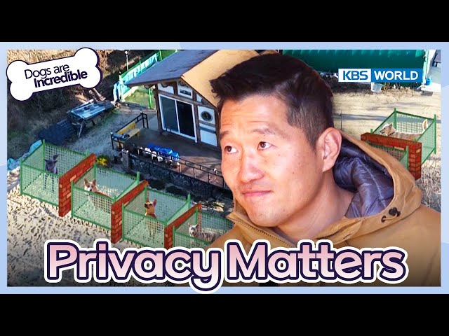 Privacy Matters  [Dogs are incredible : EP.203-3] | KBS WORLD TV 240123