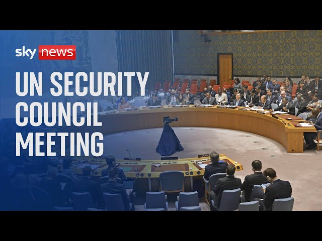 Watch live: UN Security Council meeting discussing situation in Gaza | Tuesday, 23 January 2024