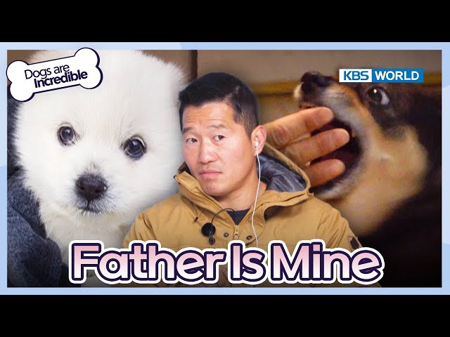 Father Is Mine  [Dogs are incredible : EP.203-1] | KBS WORLD TV 240123