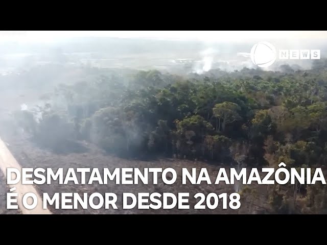 Desmatamento na Amazônia é o menor desde 2018