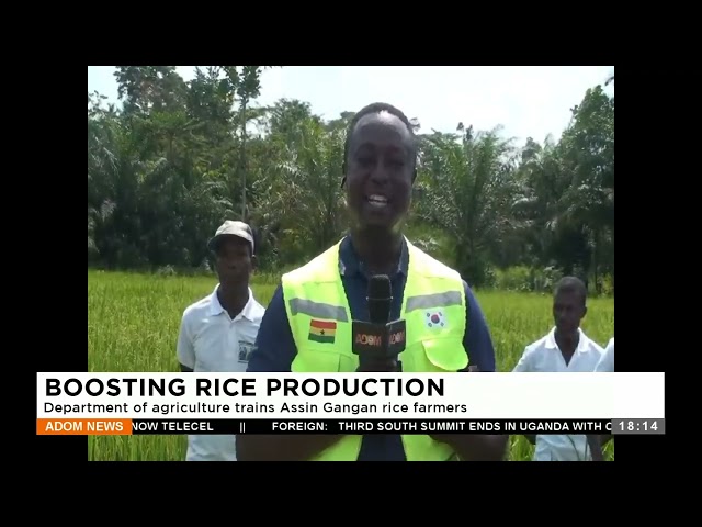 Boosting Rice Production: Department of agriculture trains Assin Gangan rice farmers (23-1-24)