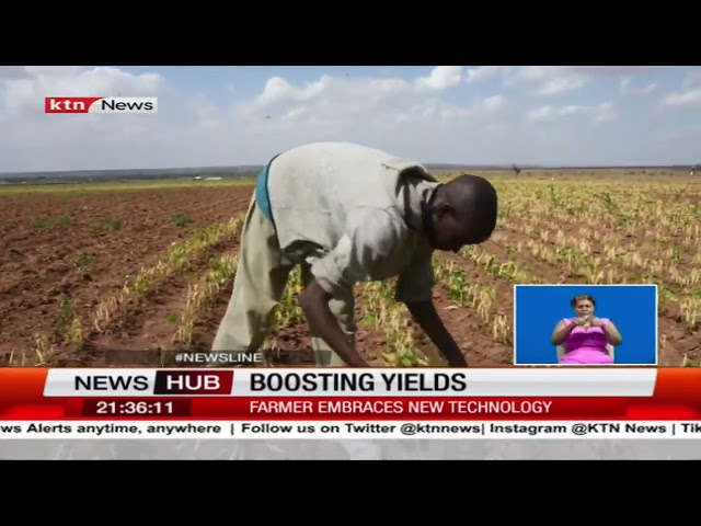 Farmer using Golden Power crop to improve his yields