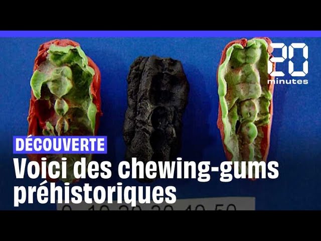 Suède : Les secrets de chewing-gums préhistoriques révélés