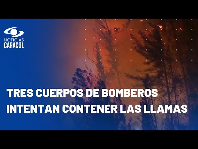 En Páramo de Berlín, incendio ha arrasado con 160 hectáreas y acabó con un valle de frailejones