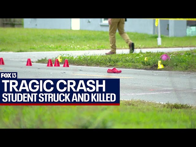 Winter Haven high school student struck, killed on the way to school