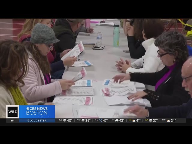 NH voters make voices heard during primary election