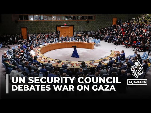 UN Security Council meeting: Calls for ceasefire & two-state solution