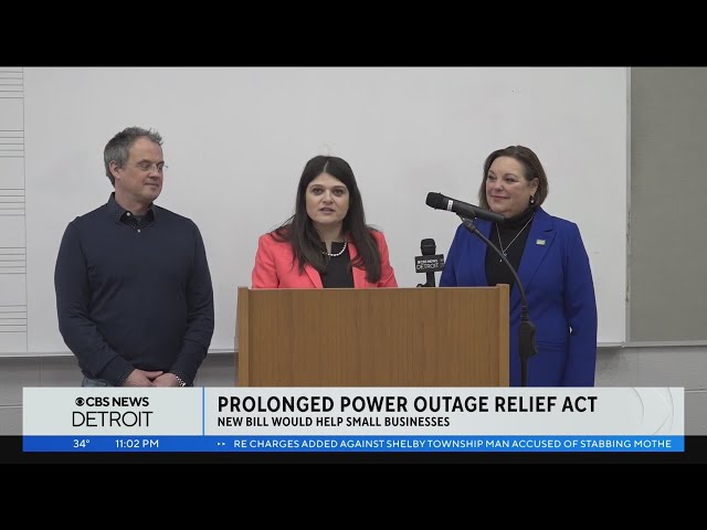 Michigan lawmaker proposes legislation to address power outages affecting businesses, families