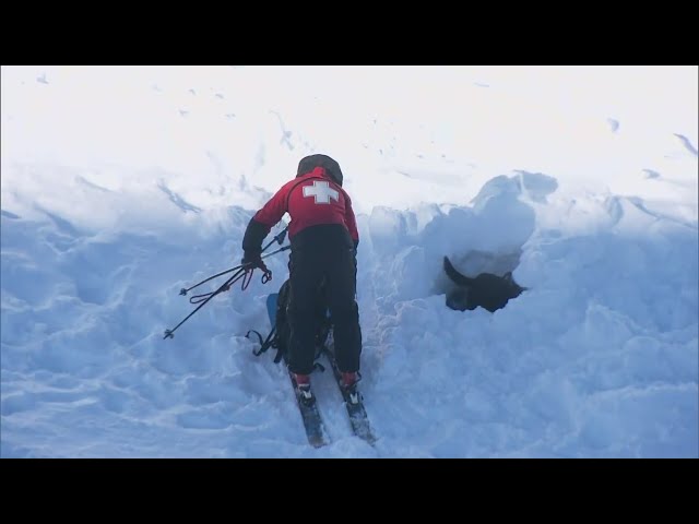 Training pairs with recent major avalanches in Colorado