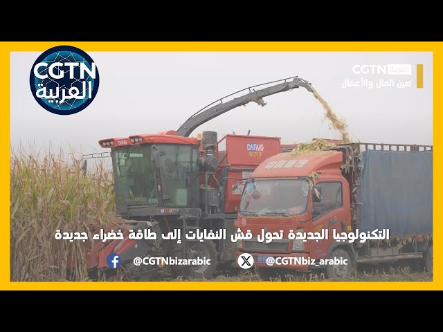 صين المال والأعمال: التكنولوجيا الجديدة تحول قش النفايات إلى طاقة خضراء جديدة