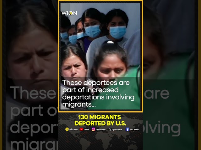 US deports 130 migrants to Guatemala | WION Shorts