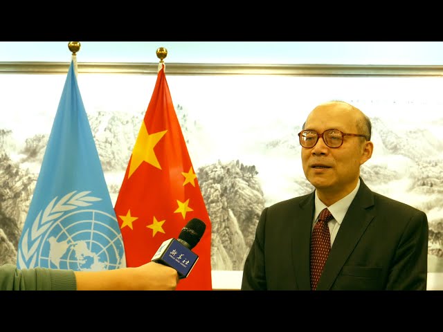 GLOBALink | China's human rights achievements widely acclaimed: ambassador