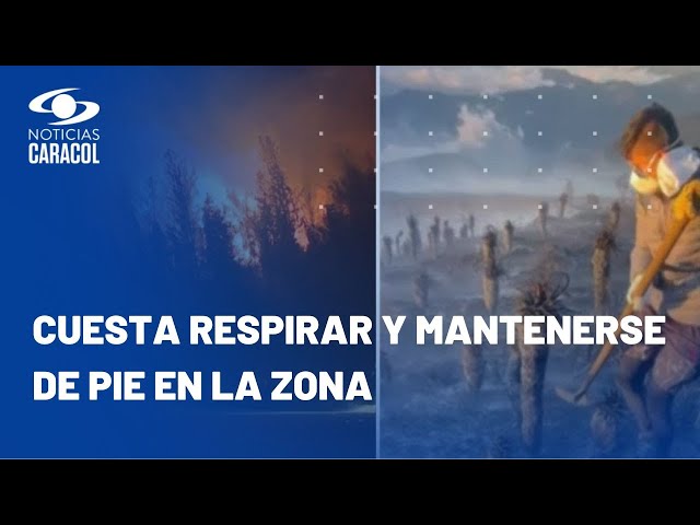 Desastre en Páramo de Berlín por incendio: tristeza por pérdida de valle de frailejones