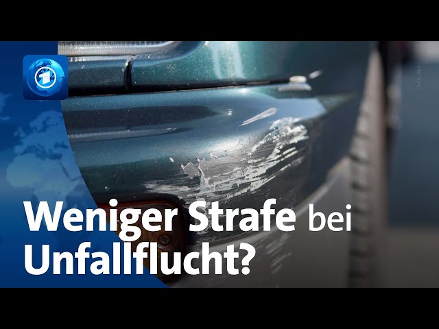 Diskussion über Strafen bei Unfallflucht