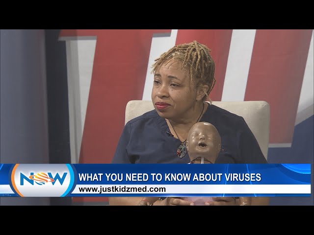 What You Need To Know About Viruses