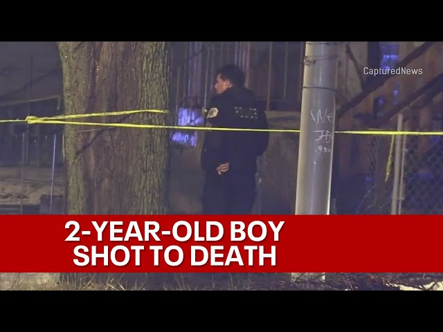 2-year-old boy dies after apparent accidental shooting in West Pullman