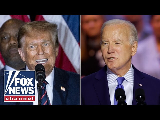 Media urges Biden to stay in basement after New Hampshire primary