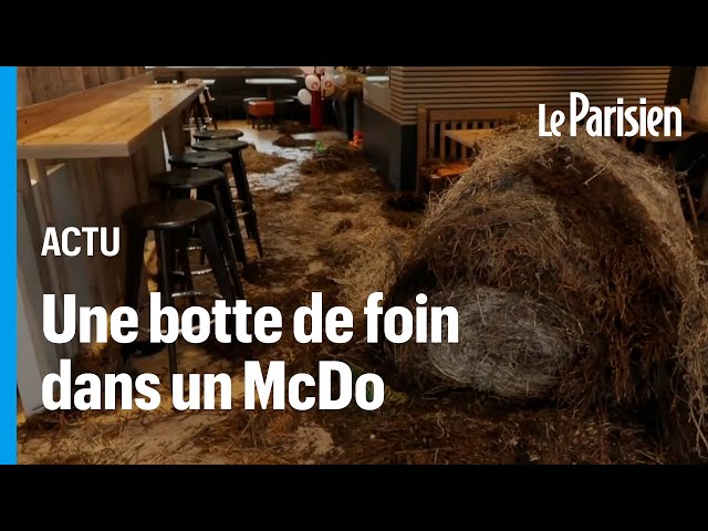 Des agriculteurs saccagent un McDonald's avec de la paille après s'être vu refuser un café