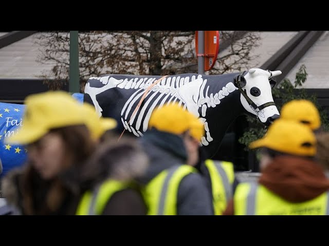 Une, petite, partie de la contestation agricole se retrouve à Bruxelles