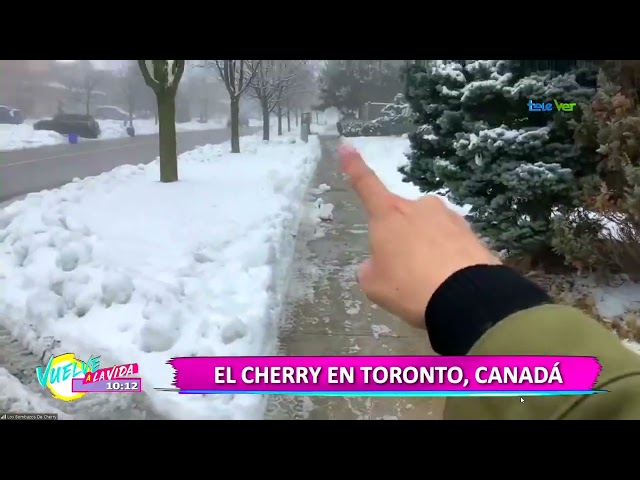 El cherry nos enseña la nevada en Toronto, Canadá.