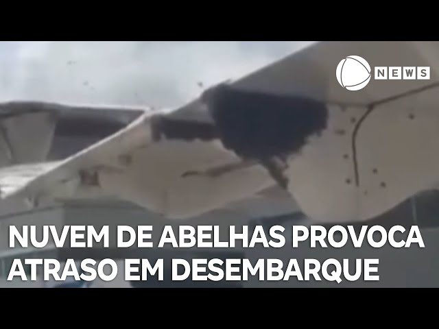 Nuvem de abelhas provoca atraso em desembarque no aeroporto de Natal