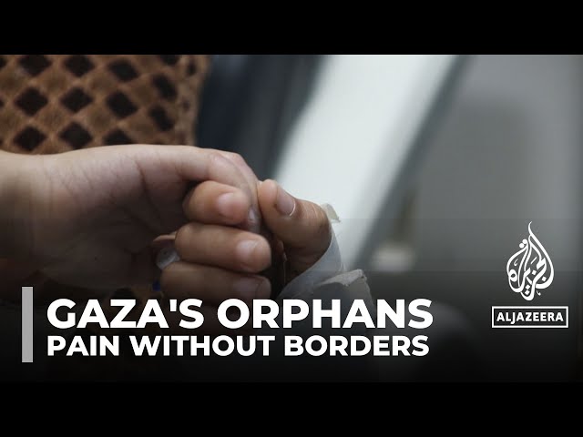 Gaza orphans: Rights group says 24,000 children have lost parents