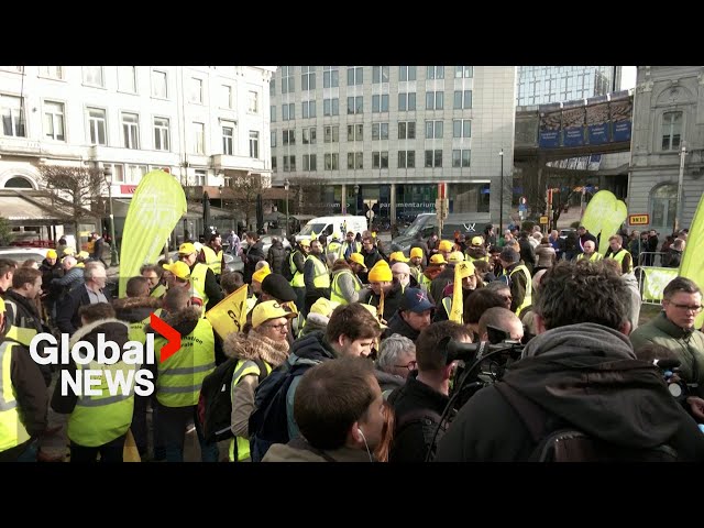 "Fed up": Farmers across Europe protest wages, regulation