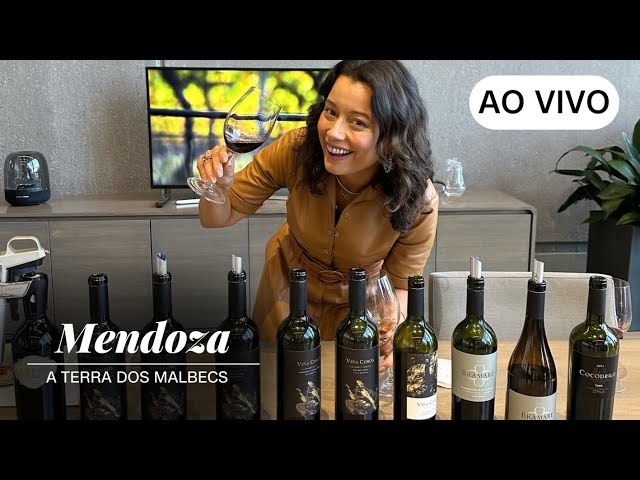 AO VIVO: CNN VIAGEM & GASTRONOMIA | Mendoza: A terra dos malbecs - 28/01/2024