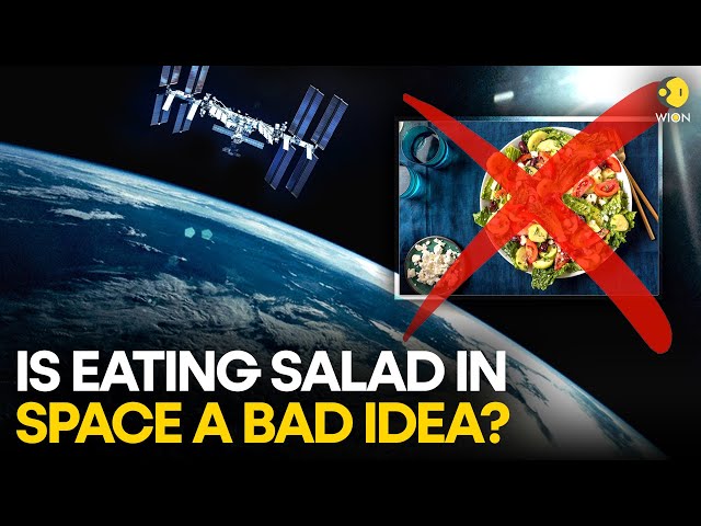 Why is eating salads in space a bad idea? | WION Originals