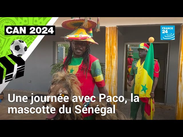 CAN 2024 : une journée avec Paco, la mascotte des équipes du Sénégal • FRANCE 24