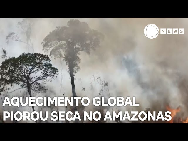 Aquecimento global piorou seca no Amazonas em 2023