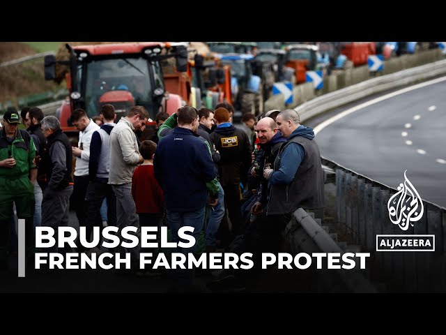 French farmers protest in Brussels: Farm workers decry red tape and rising costs