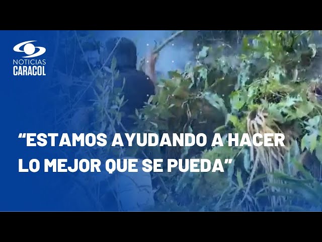 “Tratamos de que esto no siga avanzando”: armados con ramas, ciudadanos combaten incendio en Nemocón