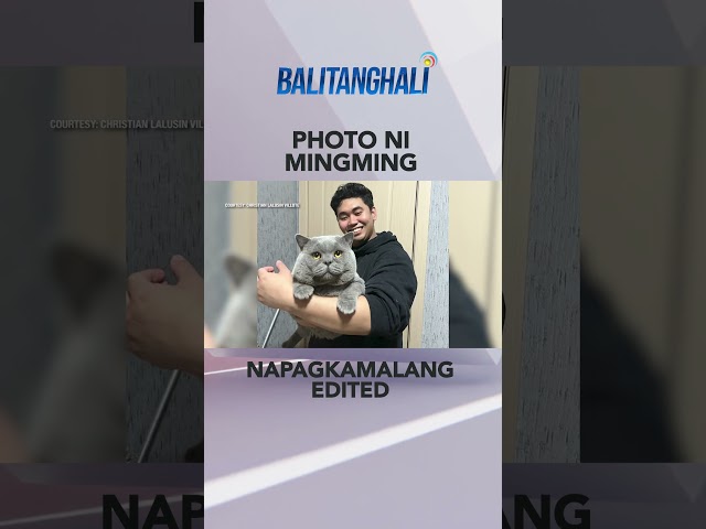 ⁣Sa sobrang laki ni mingming, napagkamalang edited #shorts | Balitanghali