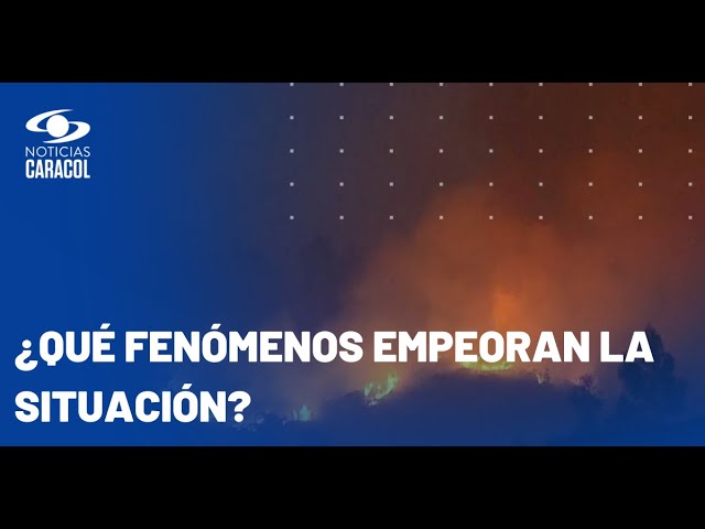 ¿Colombia tiene solidez institucional para combatir la ola de incendios?